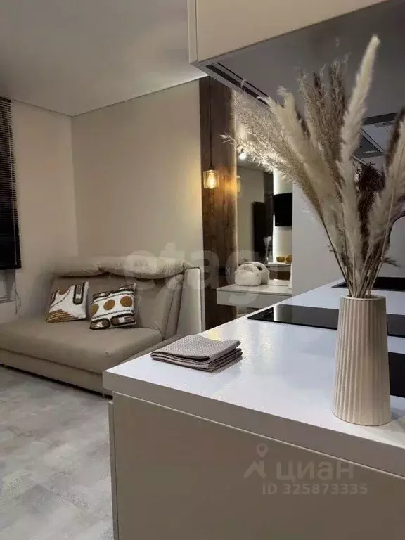 Студия Тюменская область, Тюмень ул. Николая Машарова, 8 (30.0 м) - Фото 2