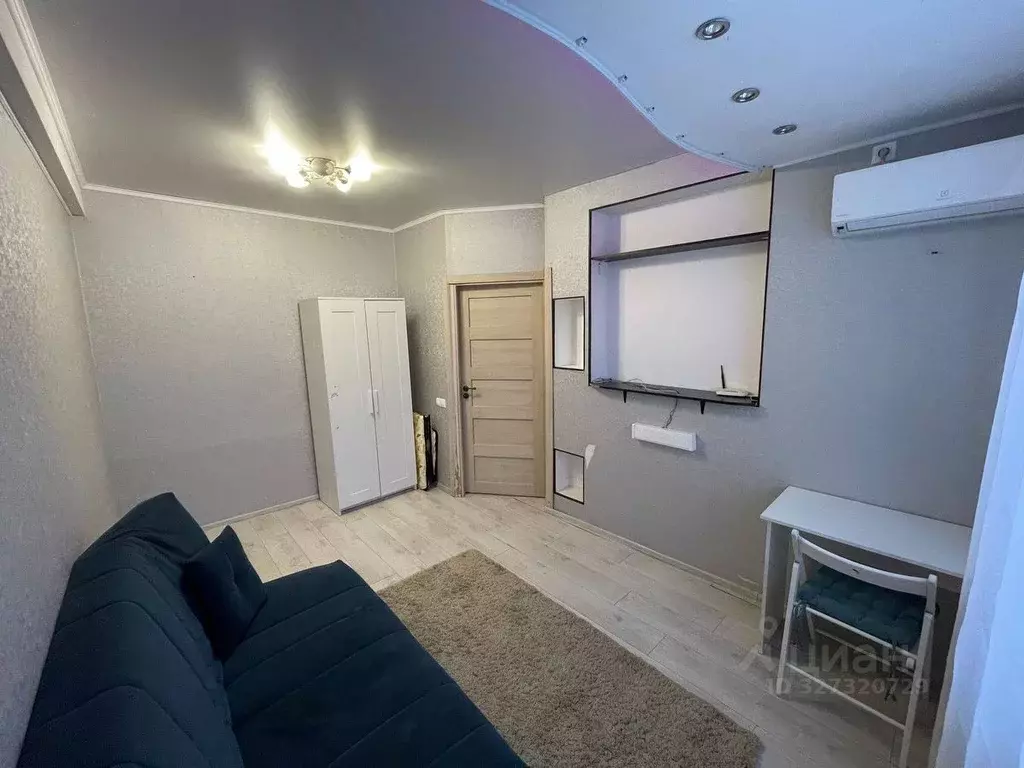 1-к кв. Московская область, Богородский городской округ, д. Щемилово ... - Фото 2