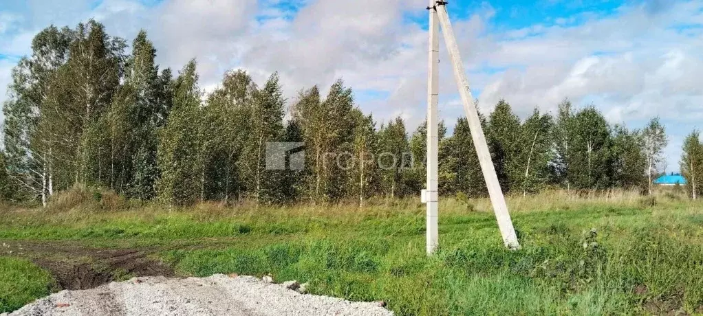 Участок в Новосибирская область, Новосибирский район, Станционный ... - Фото 1