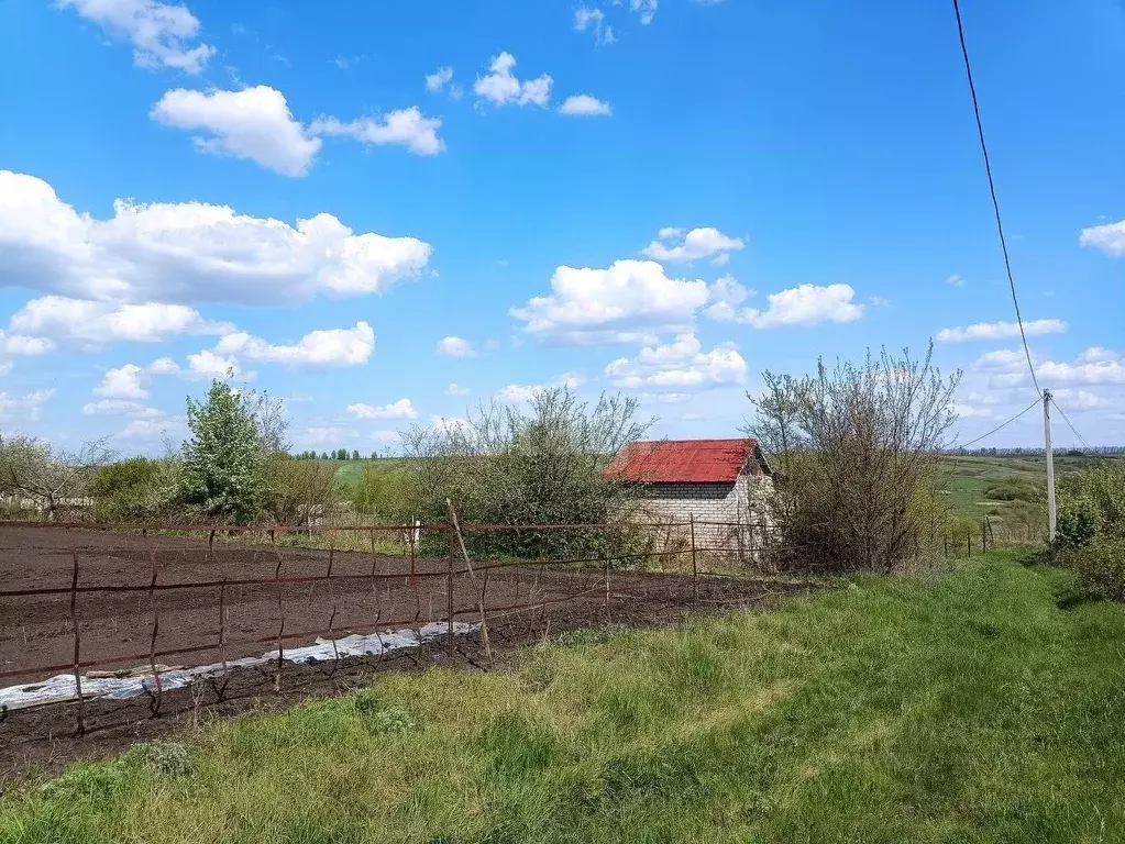 Дом в Воронежская область, Хохольское городское поселение, Крона-3 СНТ ... - Фото 0