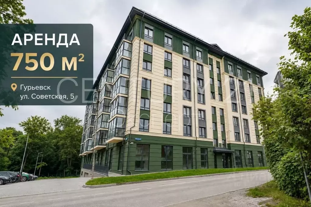 Помещение свободного назначения в Калининградская область, Гурьевск ... - Фото 1