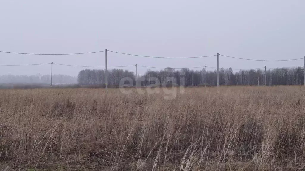 Участок в Тюменская область, Тюменский муниципальный округ, д. ... - Фото 1