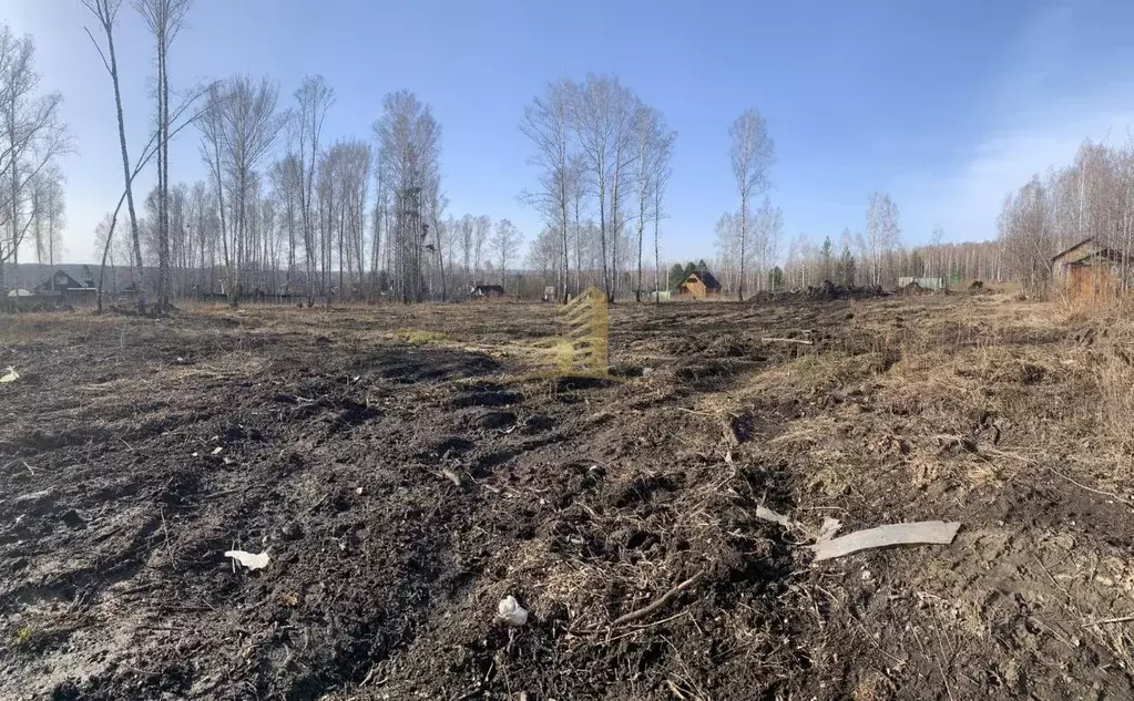 Участок в Новосибирская область, Новосибирский район, Барышевский ... - Фото 1