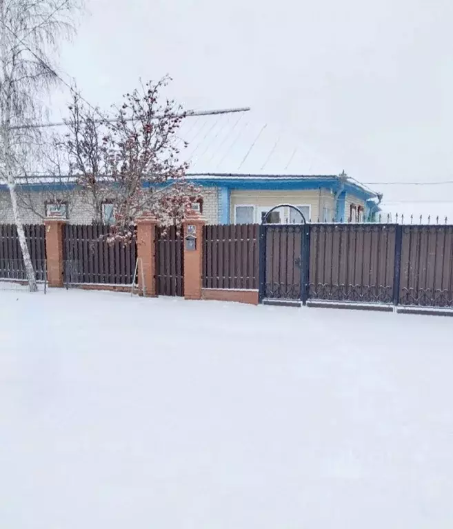 Коттедж в Омская область, Азовский Немецкий Национальный район, с. ... - Фото 1