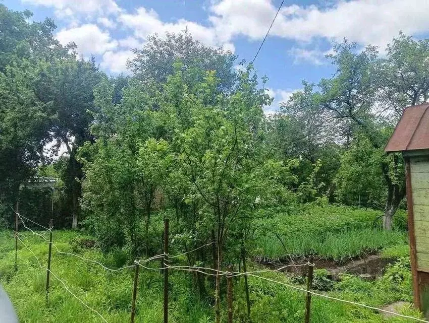 Участок в Брянская область, Брянск Коммунальник садовое общество, 81 ... - Фото 2