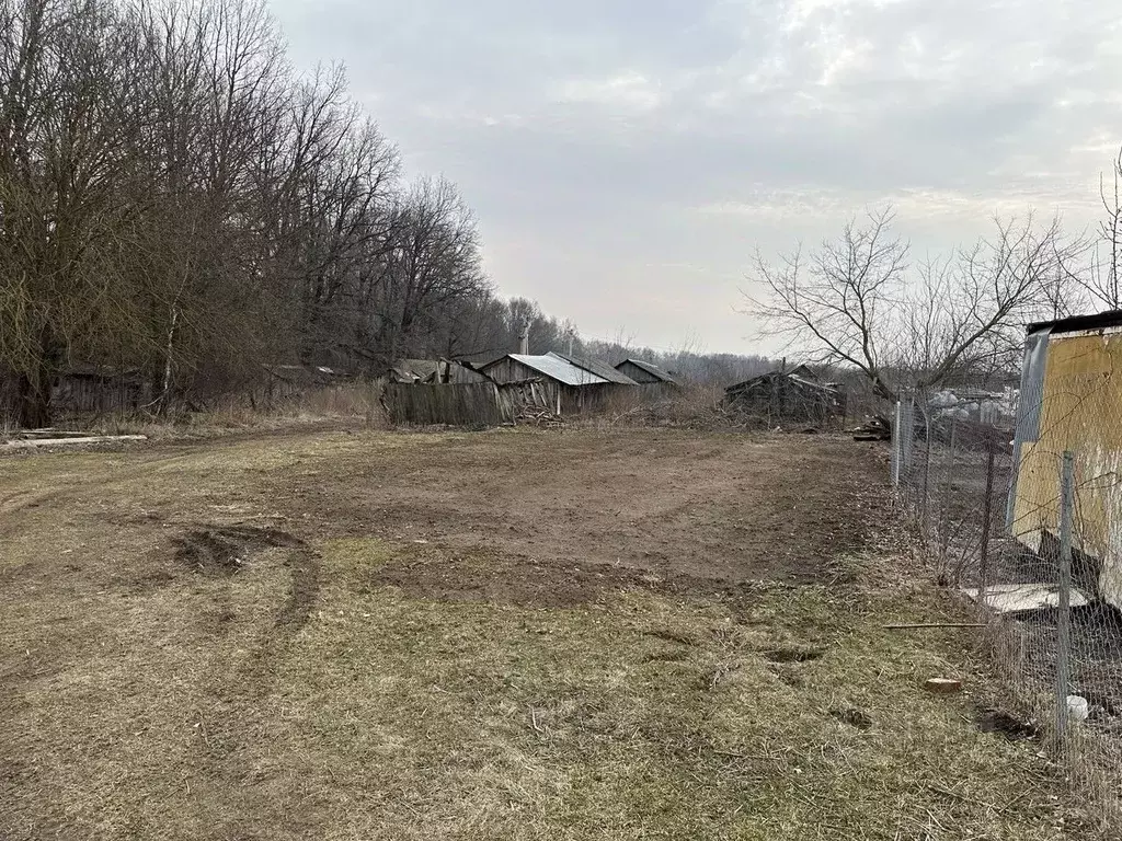 Участок в Московская область, Серебряные Пруды муниципальный округ, ... - Фото 1