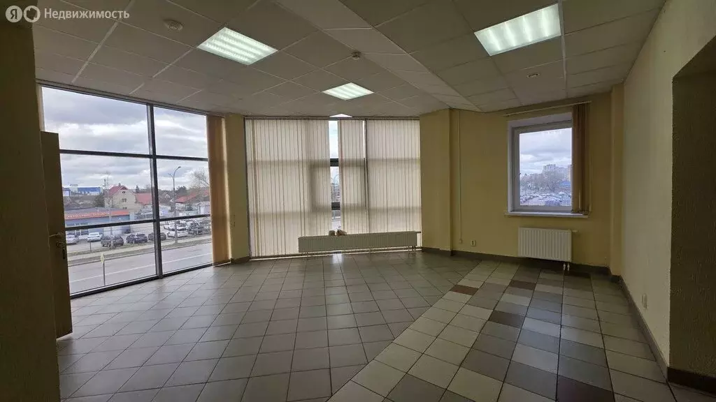 Офис (84.5 м) - Фото 2