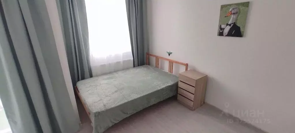 Студия Санкт-Петербург пос. Шушары, просп. Старорусский, 5к1 (21.5 м) - Фото 2