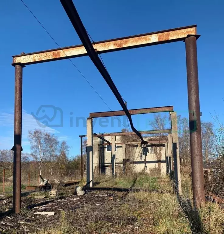 Производственное помещение в Калининградская область, Светлогорск ... - Фото 0