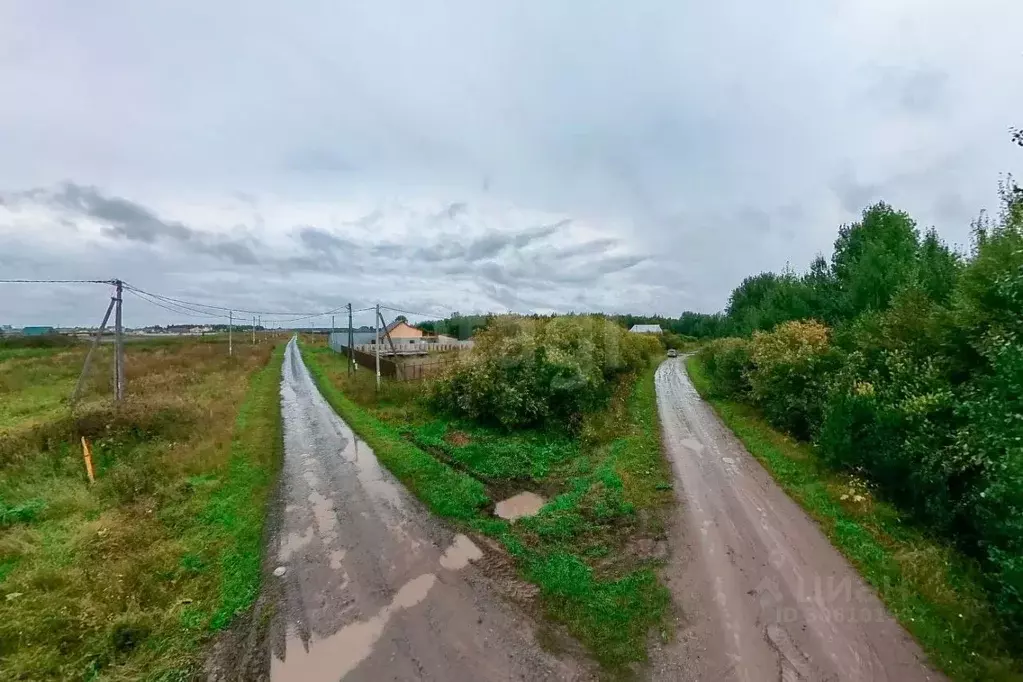 Участок в Тюменская область, Тюменский район, с. Борки  (39.7 сот.) - Фото 0