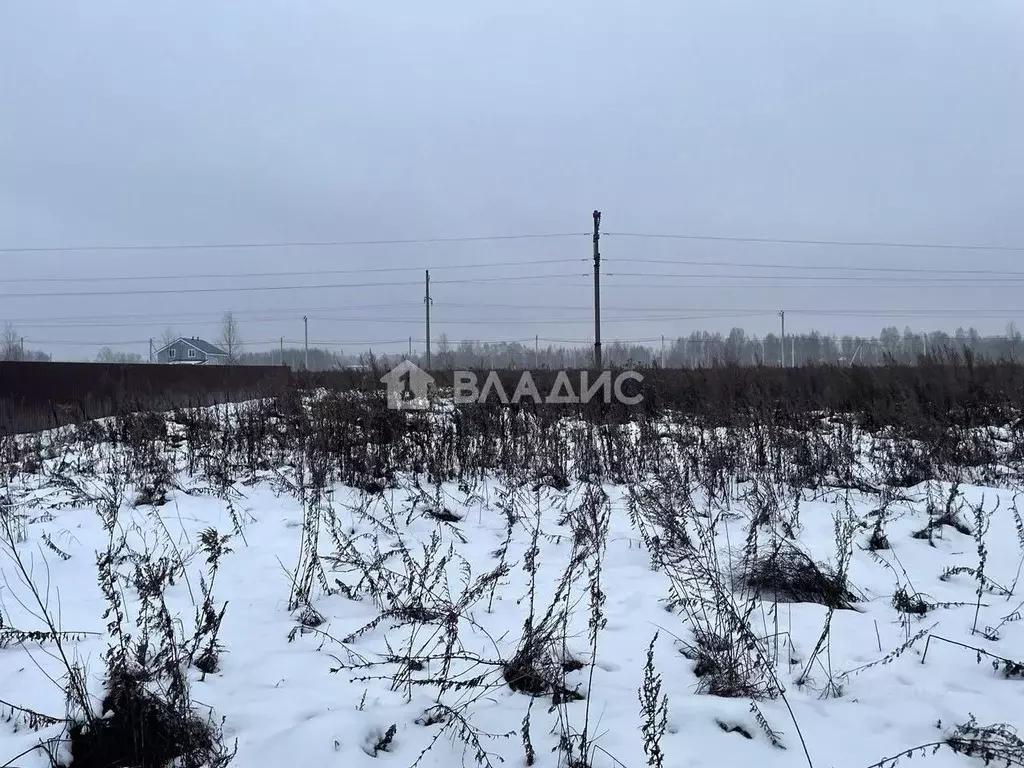 Участок в Нижегородская область, Нижний Новгород д. Подвалиха, ул. ... - Фото 1