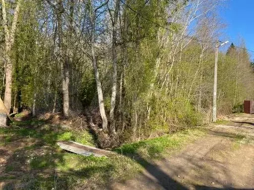 Участок 25 сот. (ИЖС) - Фото 0