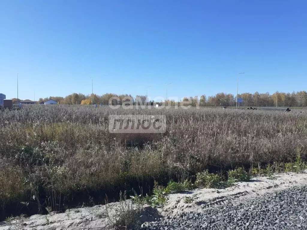 Участок в Тюменская область, Тюменский район, Онегин кп  (6.4 сот.) - Фото 0