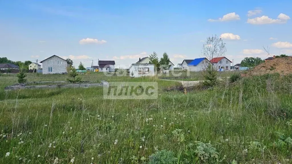 Участок в Липецкая область, Грязинский муниципальный округ, с. Фащевка ... - Фото 2