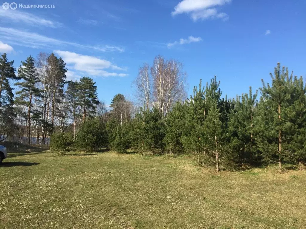 Участок в Скребловское сельское поселение, деревня Раковичи, ... - Фото 2