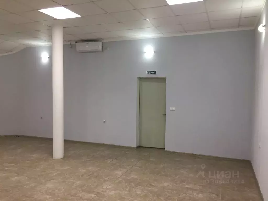 Торговая площадь в Ростовская область, Ростов-на-Дону ул. Вавилова, ... - Фото 2