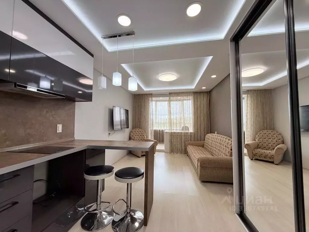 Студия Кировская область, Киров ул. Пушкина, 36к1 (27.3 м) - Фото 2