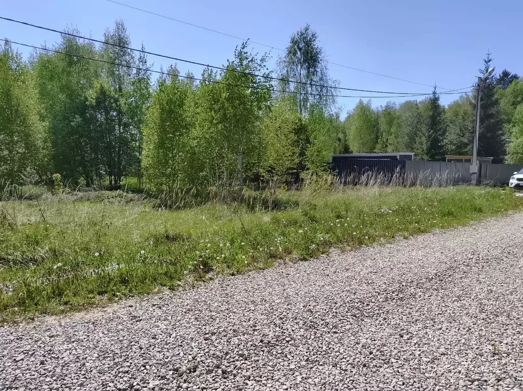 Участок в Московская область, Серпухов городской округ, д. Арнеево ул. ... - Фото 0
