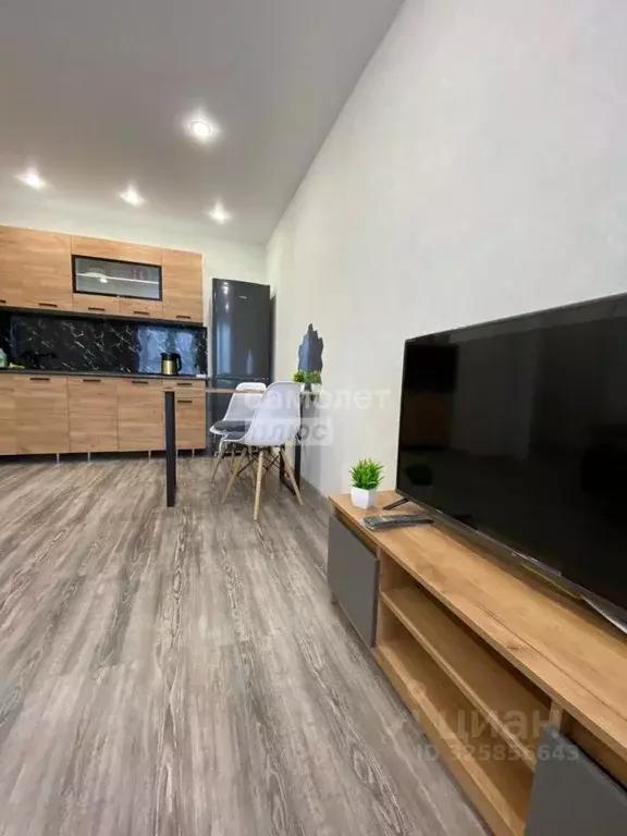 Студия Марий Эл, Медведево городское поселение, Медведево пгт ул. ... - Фото 1