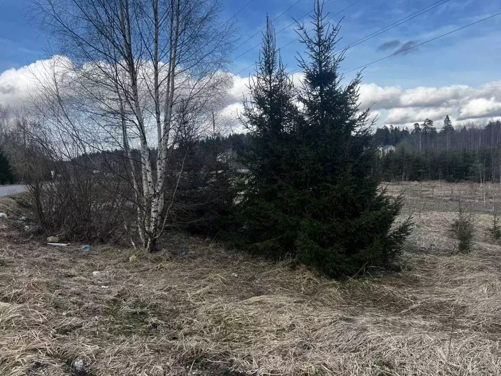 Участок в Московская область, Солнечногорск городской округ, д. ... - Фото 1