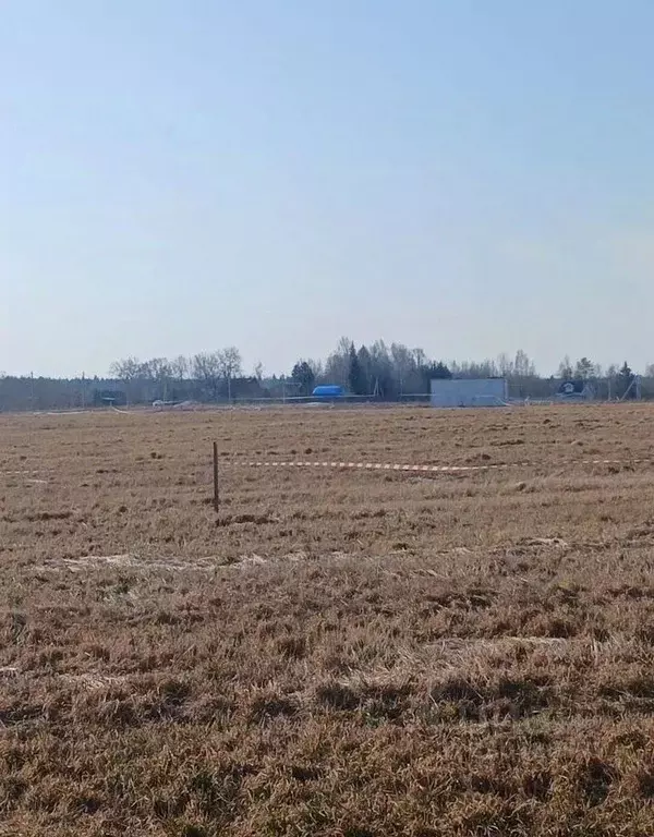 Участок в Ленинградская область, Тосненский район, Любанское городское ... - Фото 1