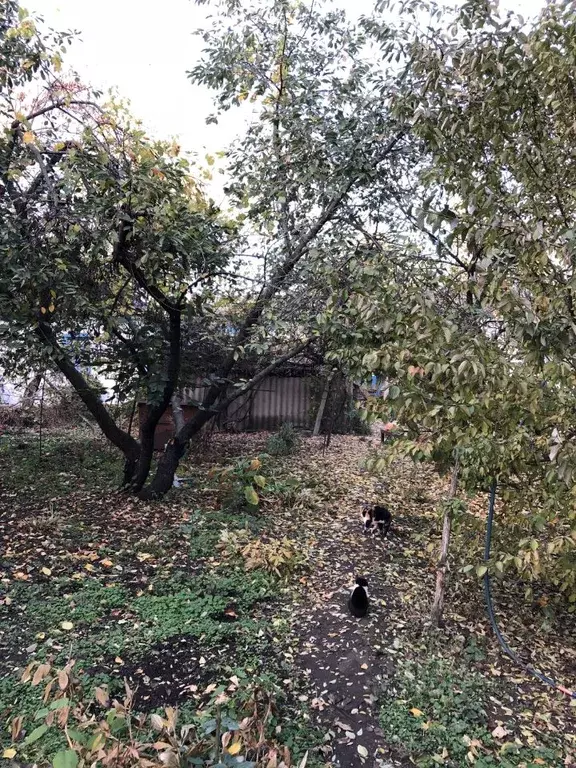 Дом в Ставропольский край, Грачевский муниципальный округ, Базовый ... - Фото 1