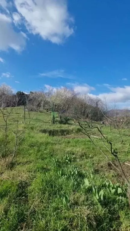 Участок в Краснодарский край, Геленджик муниципальное образование, с. ... - Фото 1