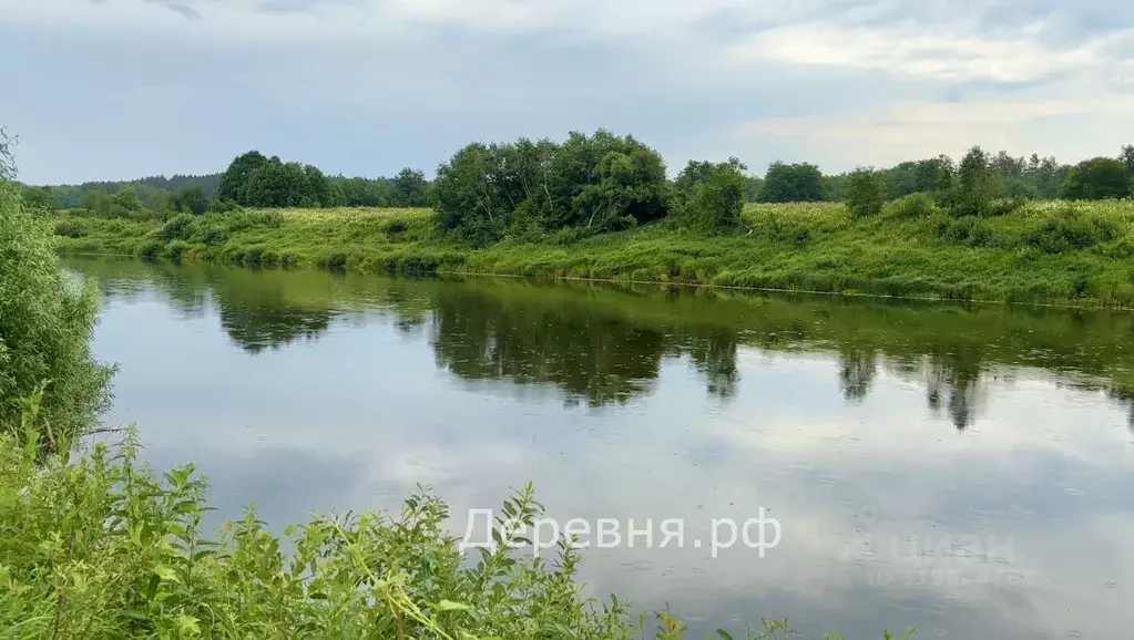 Участок в Калужская область, Дзержинский район, Угорское с/пос, ... - Фото 2