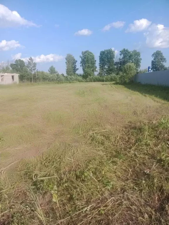 Участок в Московская область, Серпухов городской округ, д. Шепилово  ... - Фото 1