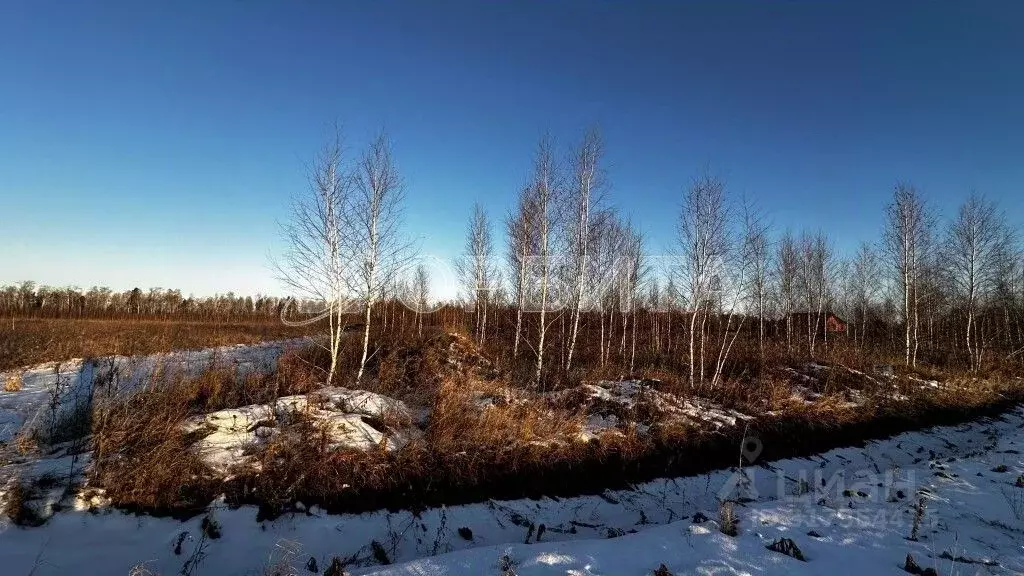 Участок в Тюменская область, Тюменский район, Казарма урочище  (5.14 ... - Фото 1