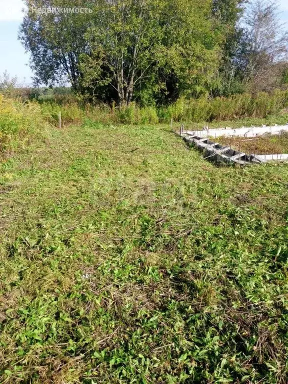 Участок в Калининградская область, Гурьевский муниципальный округ, ДНП ... - Фото 1