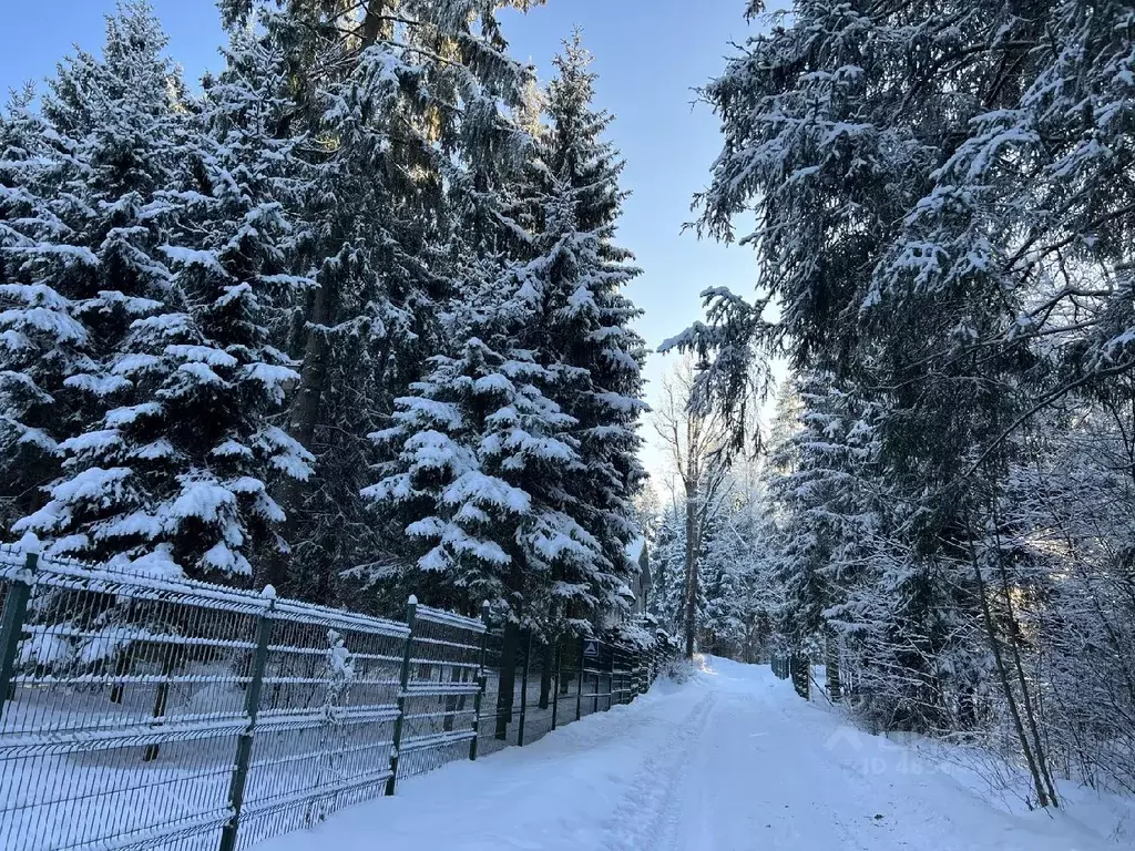 Участок в Московская область, Лобня ул. Чайковского (12.5 сот.) - Фото 0