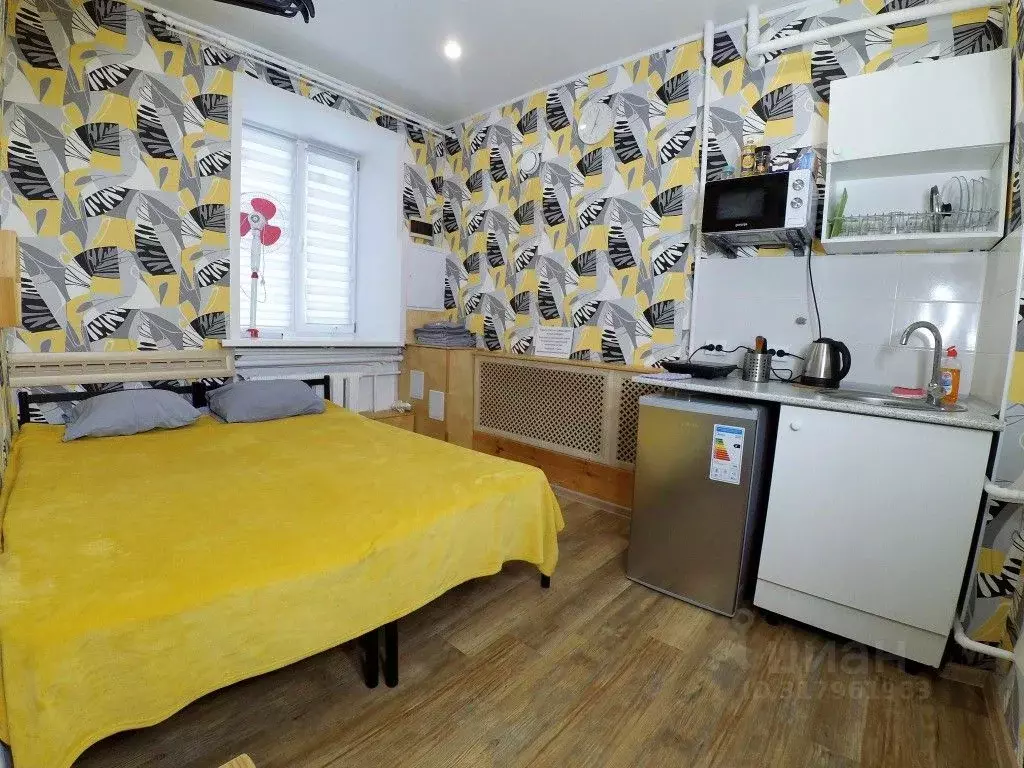 1-к кв. Татарстан, Казань Ипподромная ул., 29 (17.0 м) - Фото 0