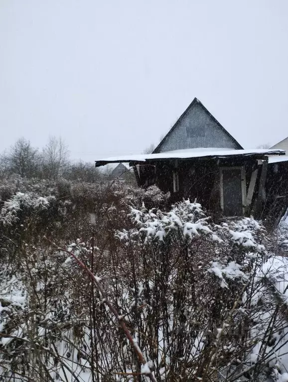 Участок в Вологодская область, Череповецкий район, Вера СНТ  (4.0 ... - Фото 1