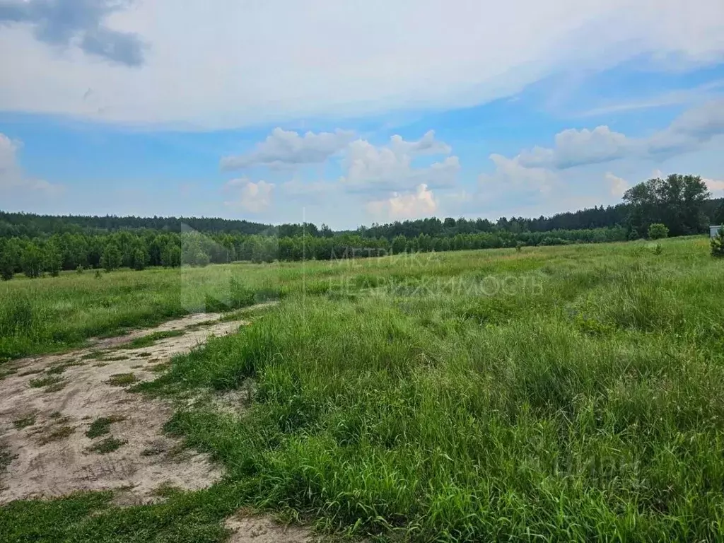 Участок в Тюменская область, Тюменский муниципальный округ, д. ... - Фото 0