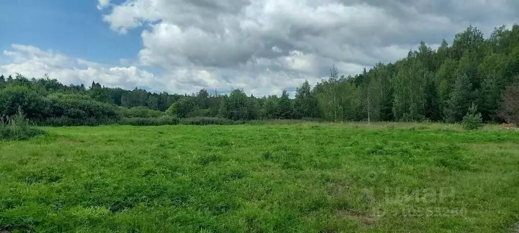 Участок в Владимирская область, Судогодский район, Вяткинское ... - Фото 0