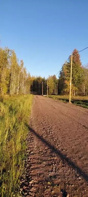 Участок в Ленинградская область, Приозерский район, Сосновское с/пос, ... - Фото 0