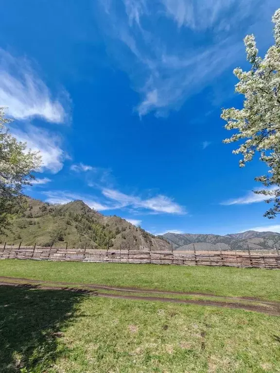 Участок в Алтай, Чемальский район, Аносинское с/пос  (10.5 сот.) - Фото 1