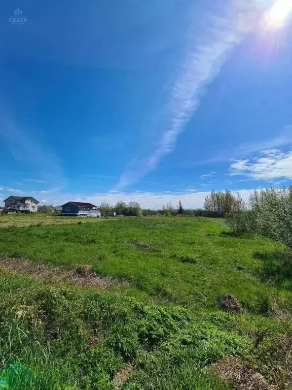 Участок в Новгородская область, Новгородский район, Савинское с/пос, ... - Фото 0