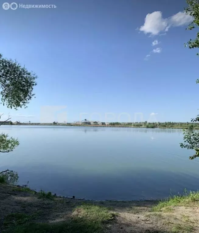 Участок в Криводановский сельсовет, НСТ Заря, Береговая улица, 7 (12 ... - Фото 2