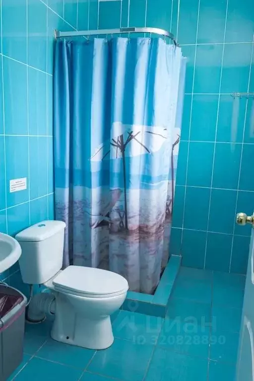 Комната Новгородская область, Великий Новгород Район Красное Поле, ул. ... - Фото 2