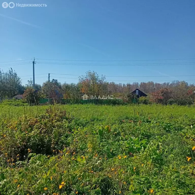 Дом в Колыванский район, садоводческое некоммерческое товарищество ... - Фото 1