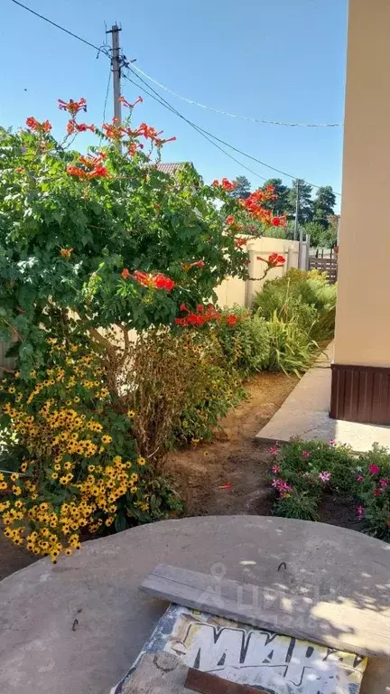 Дом в Волгоградская область, Среднеахтубинский район, Куйбышевское ... - Фото 2