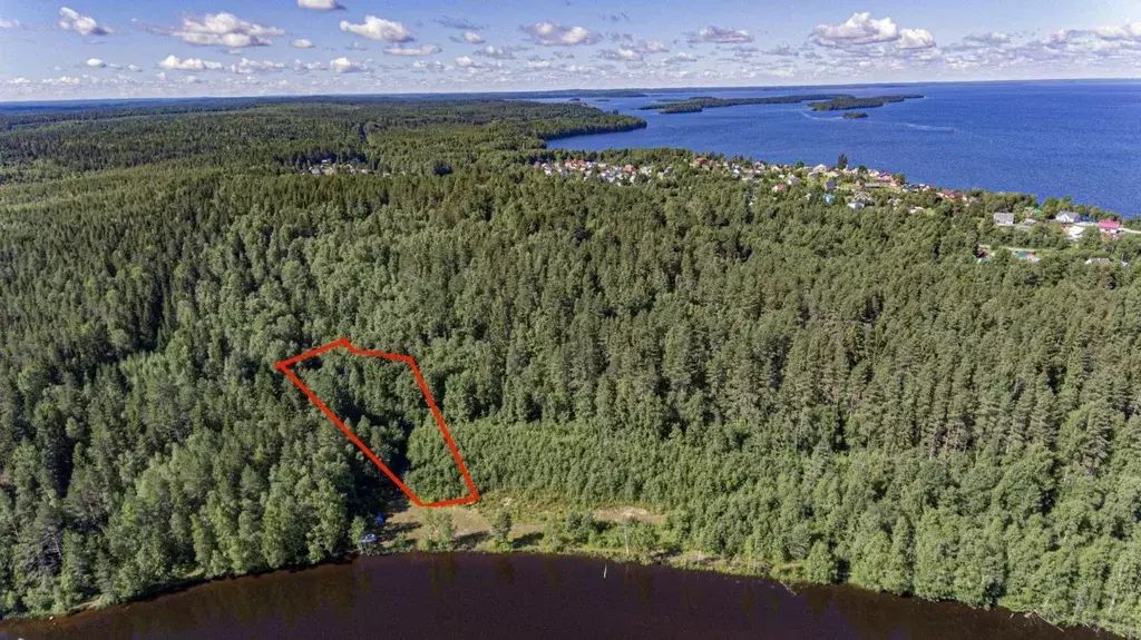 Участок в Карелия, Пряжинский район, Эссойльское с/пос, пос. Сяпся  ... - Фото 1