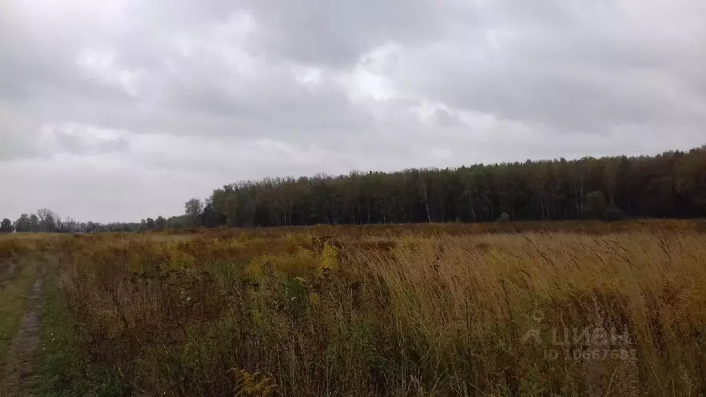 Участок в Тульская область, Ясногорский район, Иваньковское ... - Фото 0