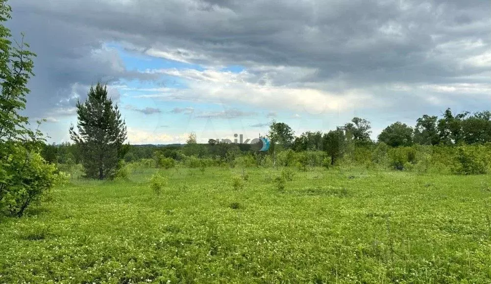 Участок 7,8 сот. (СНТ, ДНП) - Фото 0