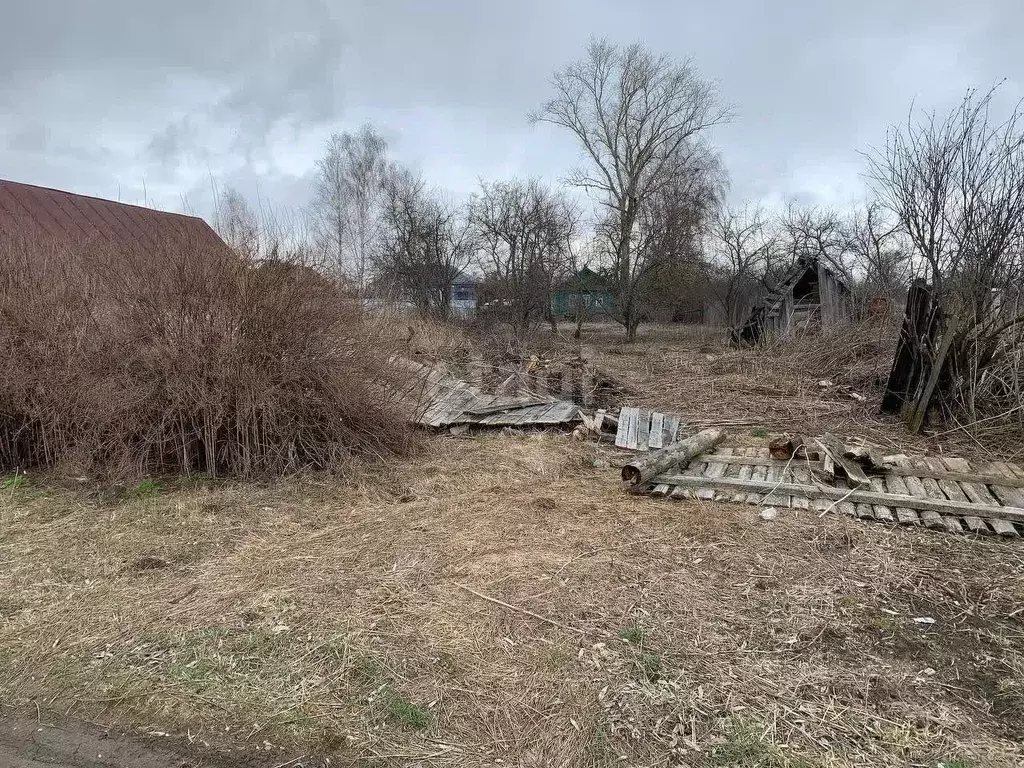 Участок в Владимирская область, Меленковский муниципальный округ, с. ... - Фото 1
