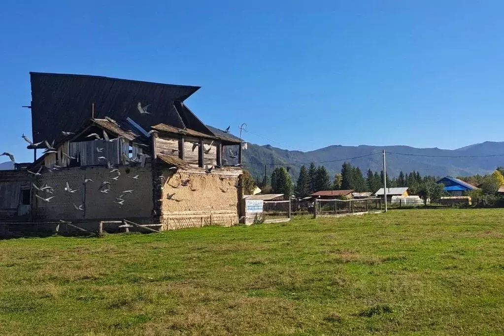 Дом в Алтай, Усть-Коксинский район, с. Мульта  (85 м) - Фото 1