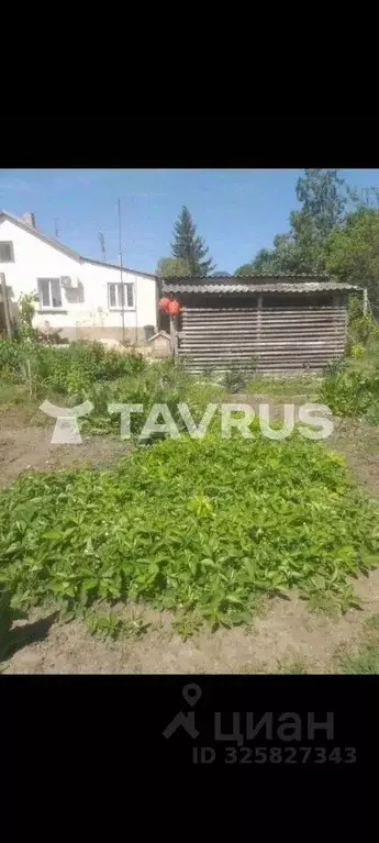 Дом в Крым, Симферопольский район, с. Урожайное ул. Виноградная (75 м) - Фото 1