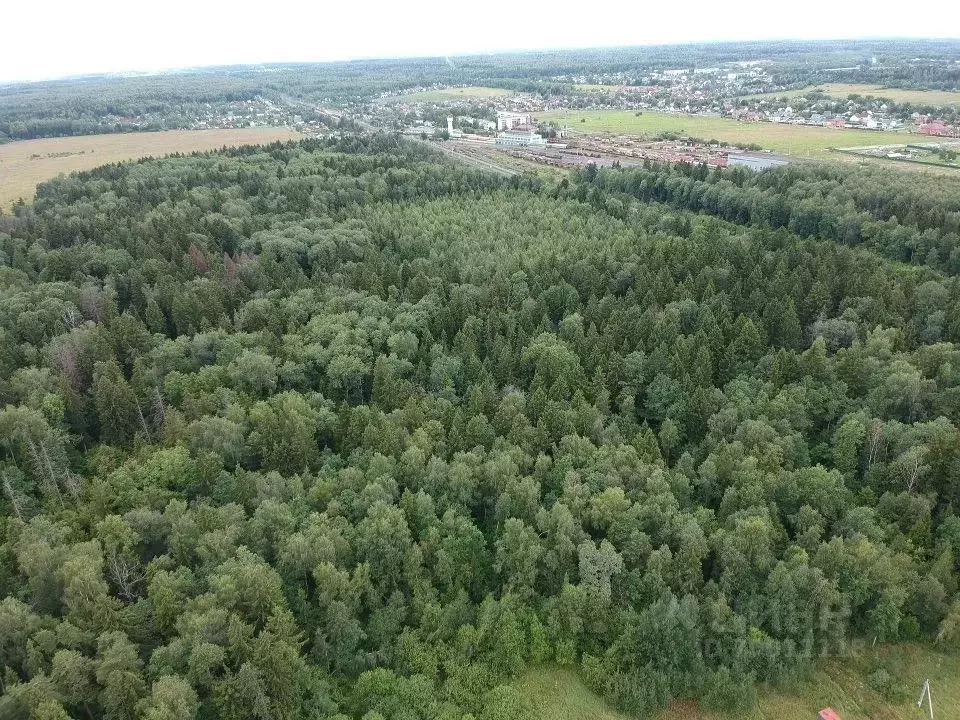 Участок в Московская область, Одинцовский городской округ, д. Сурмино ... - Фото 0